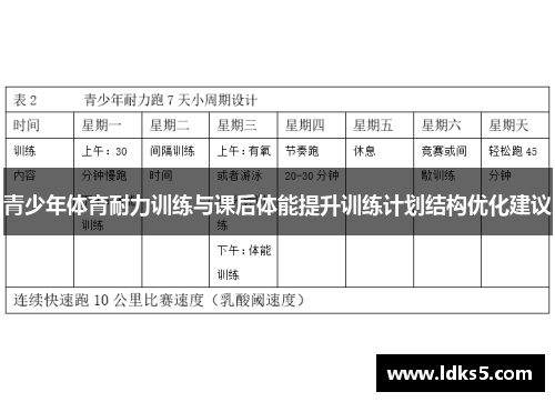 青少年体育耐力训练与课后体能提升训练计划结构优化建议